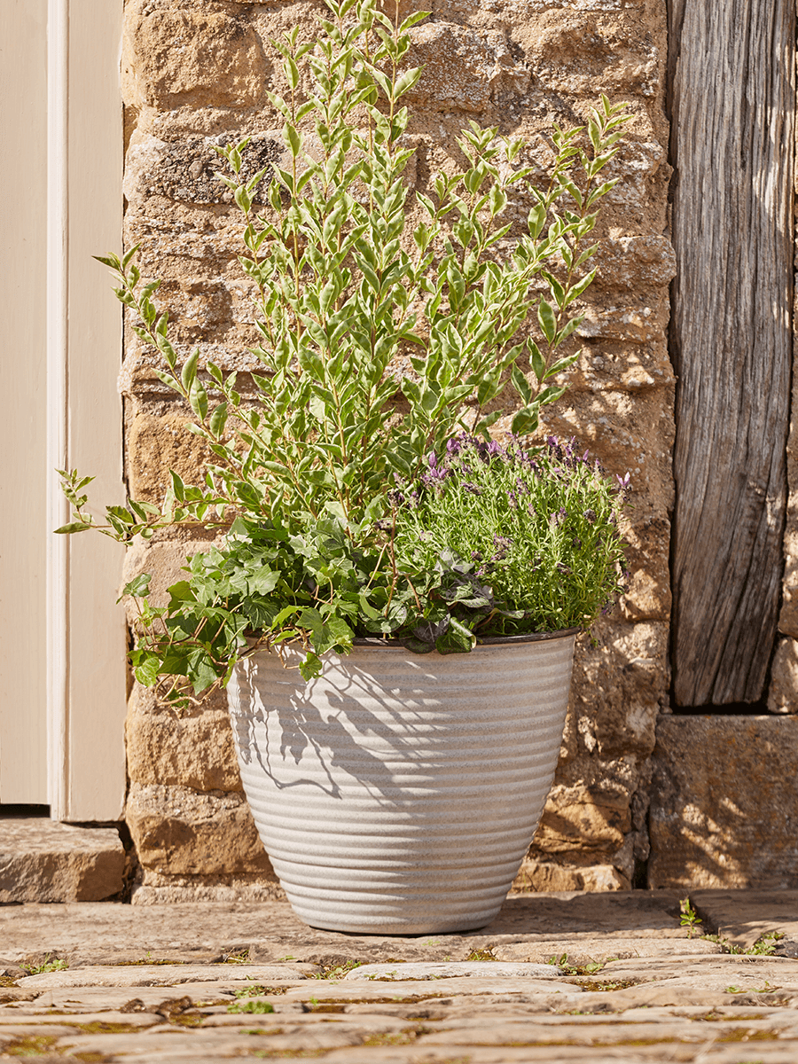 

NEW Ribbed Metal Planter