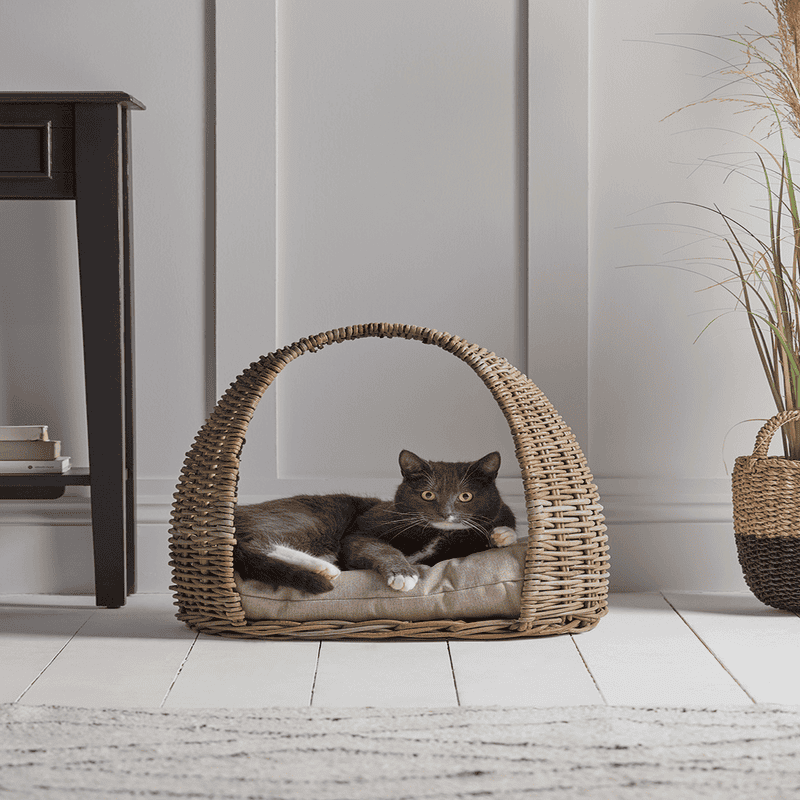 Rattan pet new arrivals