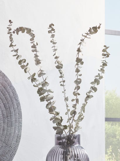 Dried Eucalyptus Bunch