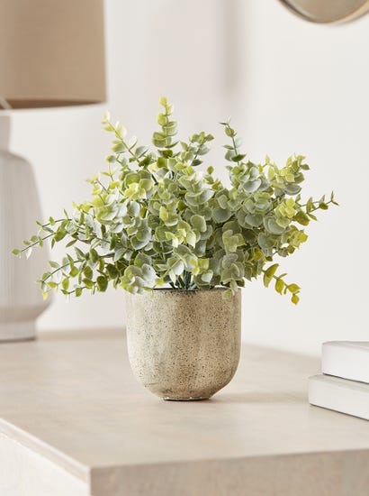 Faux Potted Eucalyptus