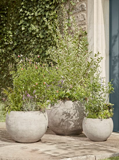 Three Bowl Planters - Sand