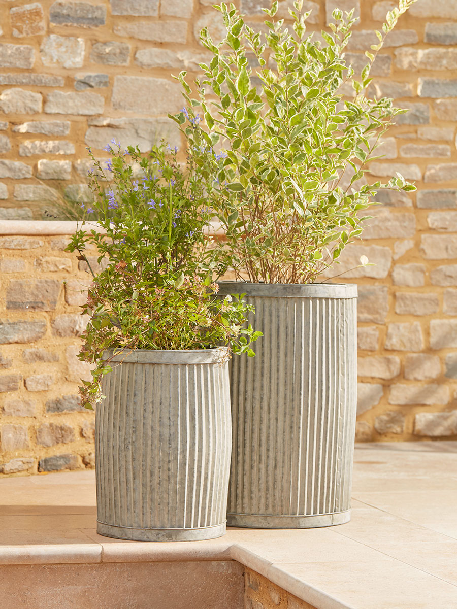 Product photograph of Two Fluted Galvanised Barrel Planters from Cox and Cox