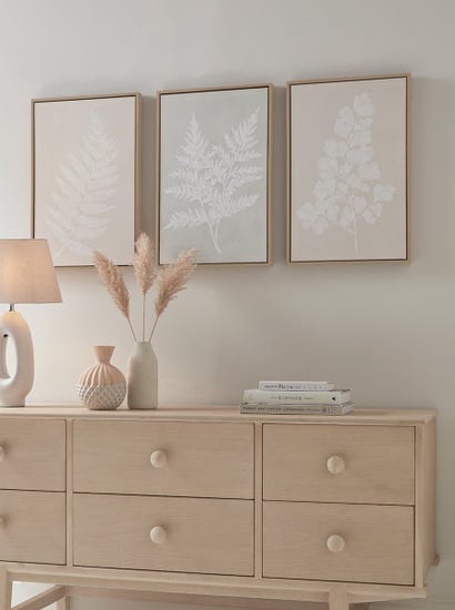 Three Framed Fern Canvases