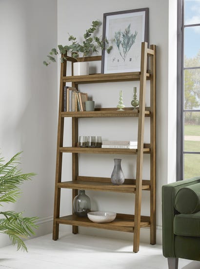 Ladder Bookshelf