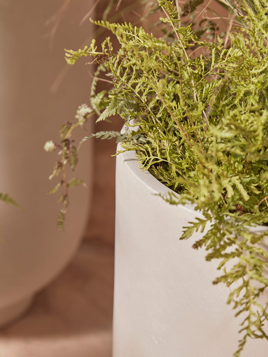 Product photograph of Three Handmade Footed Column Planters - Oat from Cox and Cox.