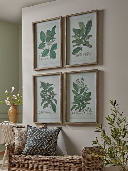 Four Foliage Framed Prints