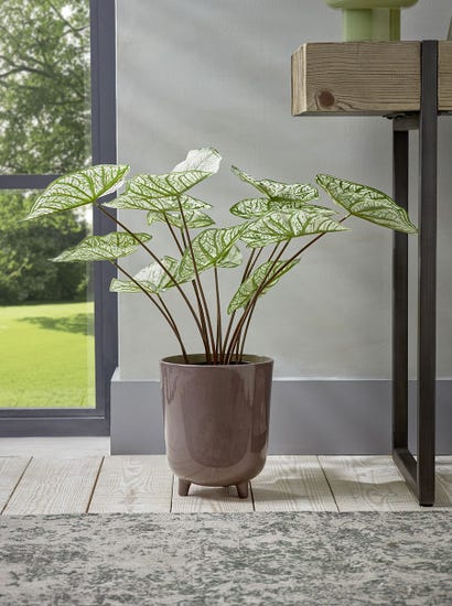 Faux Potted Caladium