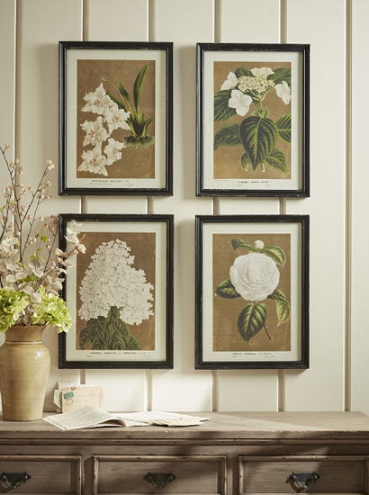 Four Aged Effect Floral Framed Prints