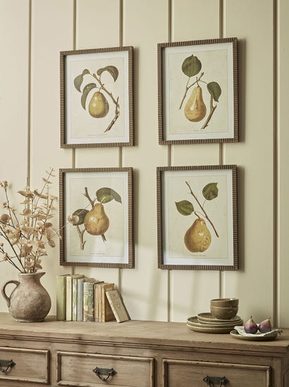 Four Pear Framed Prints