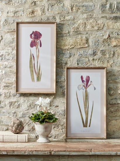 Two Iris Framed Prints