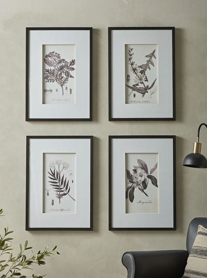Four Botanical Framed Prints