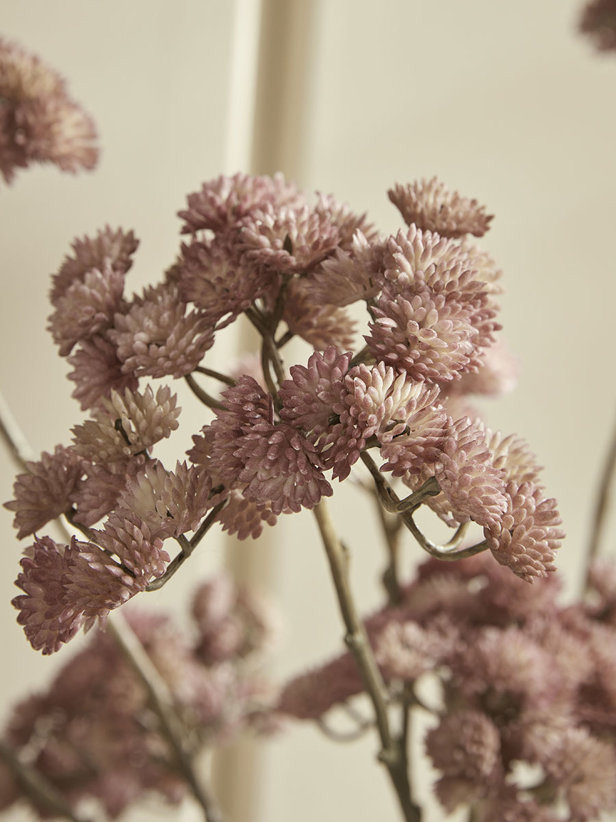 Product photograph of Three Faux Sedum Sprays from Cox and Cox.