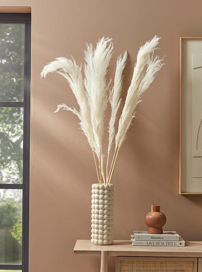 Six Pampas Grass Stems - Cream