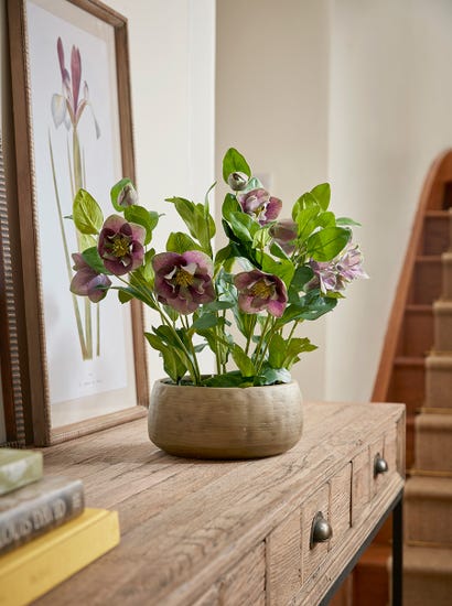 Faux Potted Hellebore - Dusky Mauve