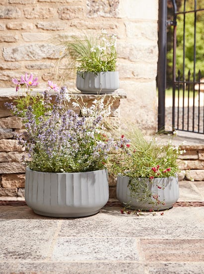 Three Dove Grey Fluted Planters - Small