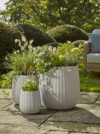 Three Dove Grey Fluted Planters - Large