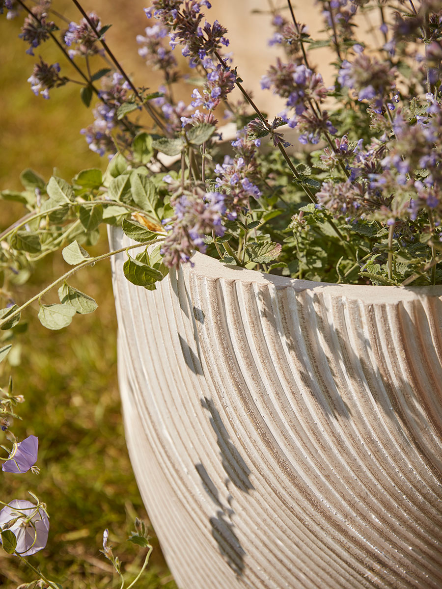 Product photograph of Two Cream Spiral Planters - Large from Cox and Cox.