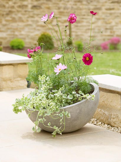 Alder Planter