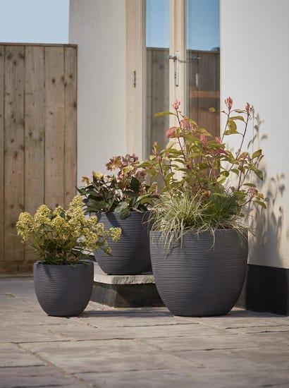 Three Celano Planters