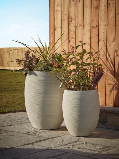 Two Panama Planters