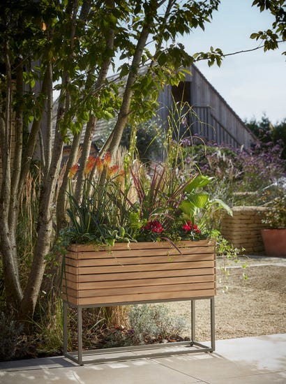 Acacia Trough - Small