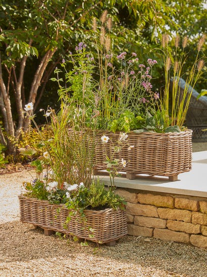 Two Indoor Outdoor Rattan Trough Planters