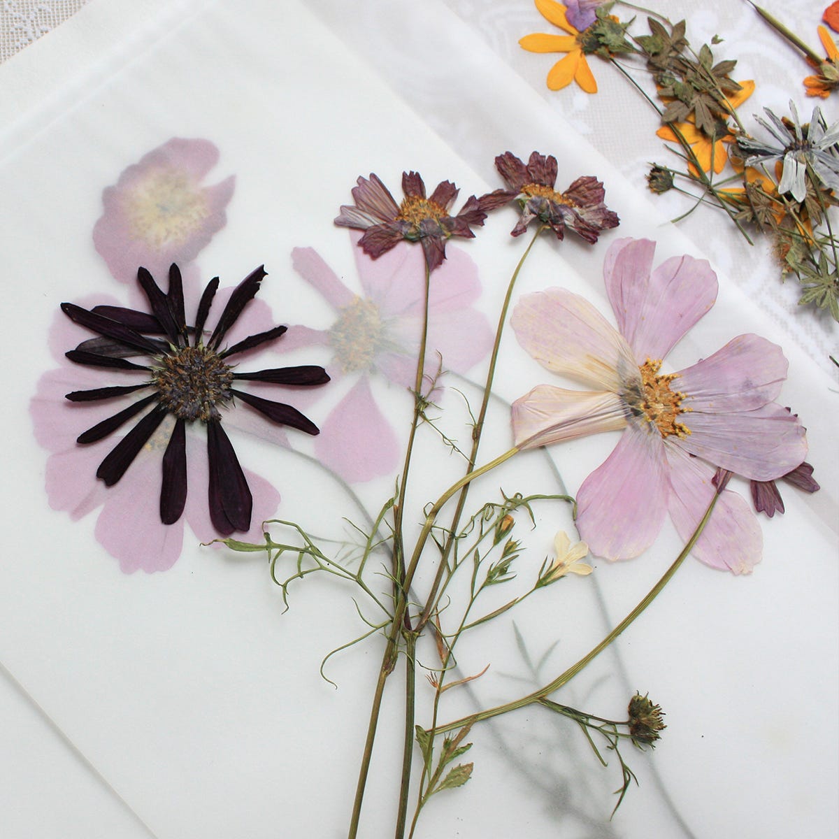 How to press and dry flowers, Style Notes